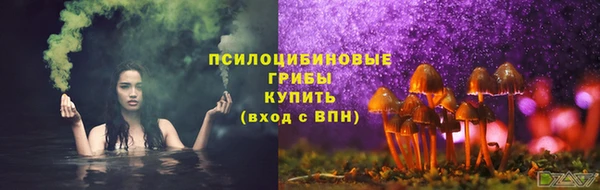 мяу мяу мука Алзамай