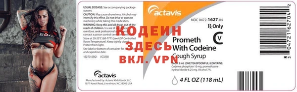крисы Елабуга