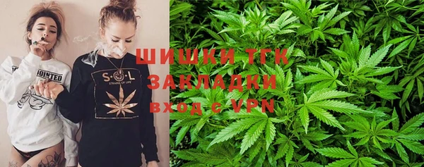ПСИЛОЦИБИНОВЫЕ ГРИБЫ Ельня